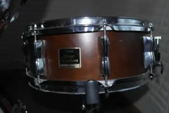 70's Ludwig Head scratcher.