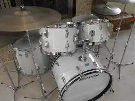 1969-1970 ludwig check this out