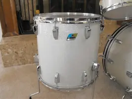 1969-1970 ludwig check this out