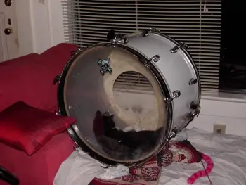 Drums and our Pets !!