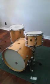 Darwin Drums