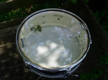 For Sale: Ludwig Pioneer
