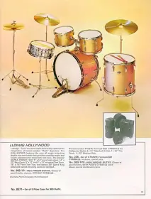 Ludwig help.