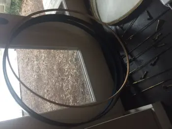 Restore or not restore