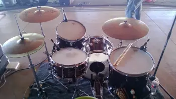 Rogers at the Gig