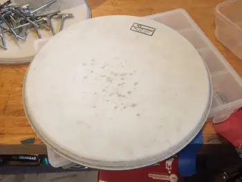Slingerland 13&quot; coated - 70's