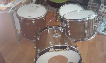 Ludwig Walnut Cortex