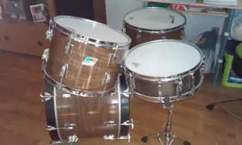 Ludwig Walnut Cortex