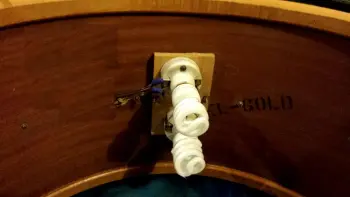 Ludwig Stipelgold Bass help