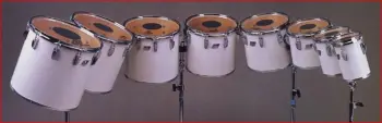 Ludwig Concert Tom