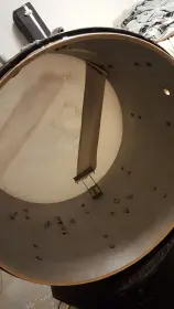 60's Gretsch kit - type of metal?