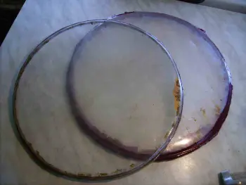 Early snare Trova