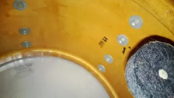 Slingerland 1964 WMP Tom