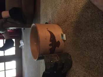 Ludwig Drum Set Eagle Kit