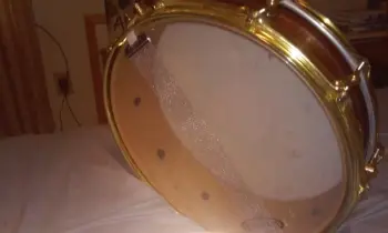 CL Snare Find