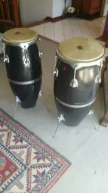 congas lp fuji hybrid .