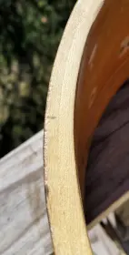 Slingerland Super Gene Krupa Restoration
