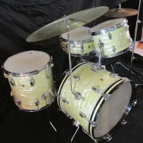 Ludwigs with duel tone controls