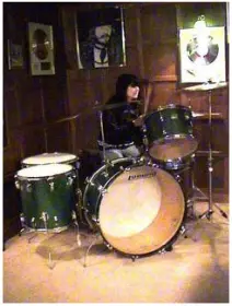 Ludwig wrap/shells.
