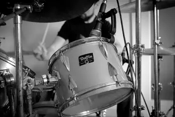 Dolphin Drums?,,any info?