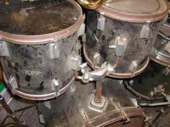 Dolphin Drums?,,any info?