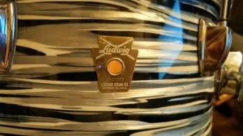 Newer Ludwig help?