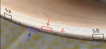 Confused about Ludwig ply construction