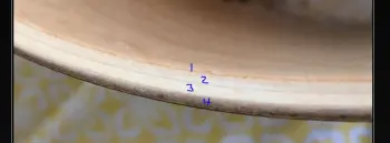 Newer Ludwig help?