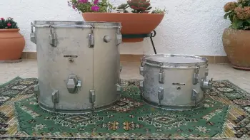 Pearl Maple Shell
