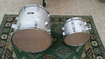 Pearl Maple Shell