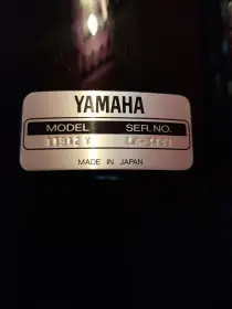 Dating Yamaha Recording Custom