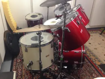 Vintage Pearl Wood Fiberglass