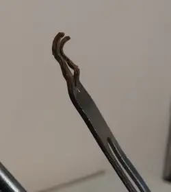 Old Pearl Bass Pedal - Date? Value?