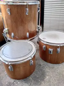 Help!! Dating My Tama imperiastar