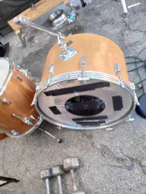 Help!! Dating My Tama imperiastar