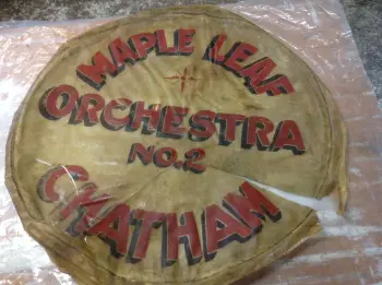 Salvaging a calf head for display