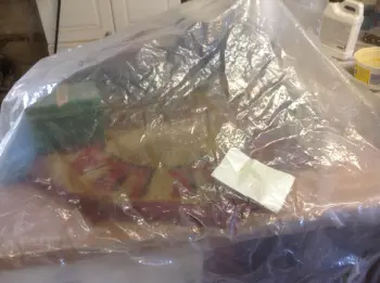 Salvaging a calf head for display