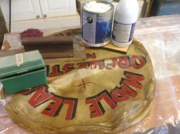 Salvaging a calf head for display