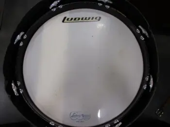 Price check 1966 ludwig black oyster snare