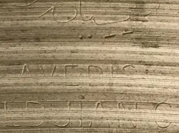 Cymbal Ink and the Evolving Understanding of Weight