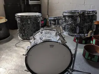 My First Rogers Foray! I Have some questions........