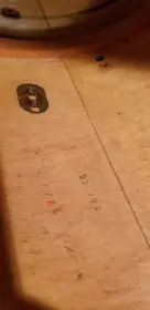 Another Premier question: date stamps/SN