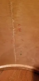 Another Premier question: date stamps/SN