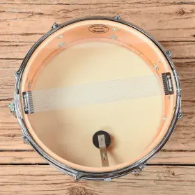 New Slingerland family member