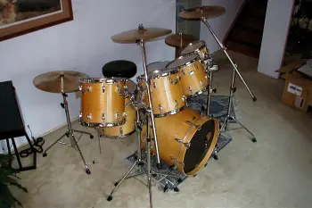 Black Beauty Question