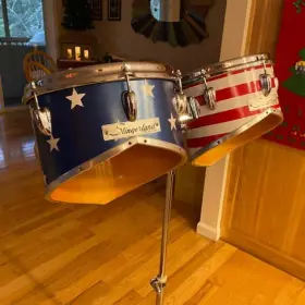 Slingerland Cutaway Project