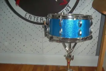 Ludwig snare?