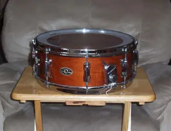 Vintage Mahogany Shells