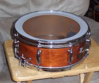 Vintage Mahogany Shells