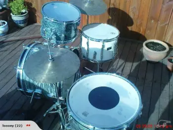Can anyone identify these?